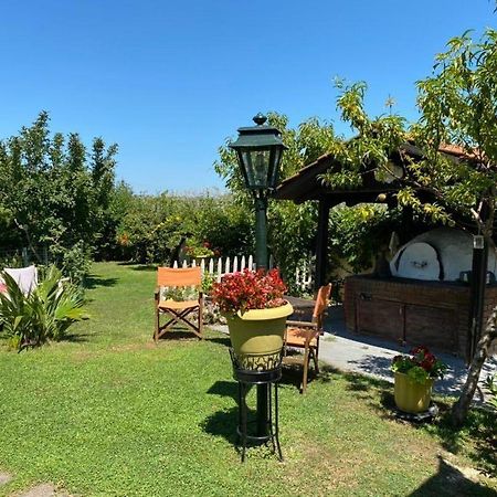 Seaside Cottage Paralía Екстериор снимка