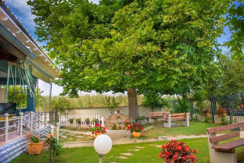 Seaside Cottage Paralía Екстериор снимка